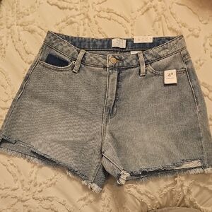 Time and Tru Light Womens Blue Jean Shorts